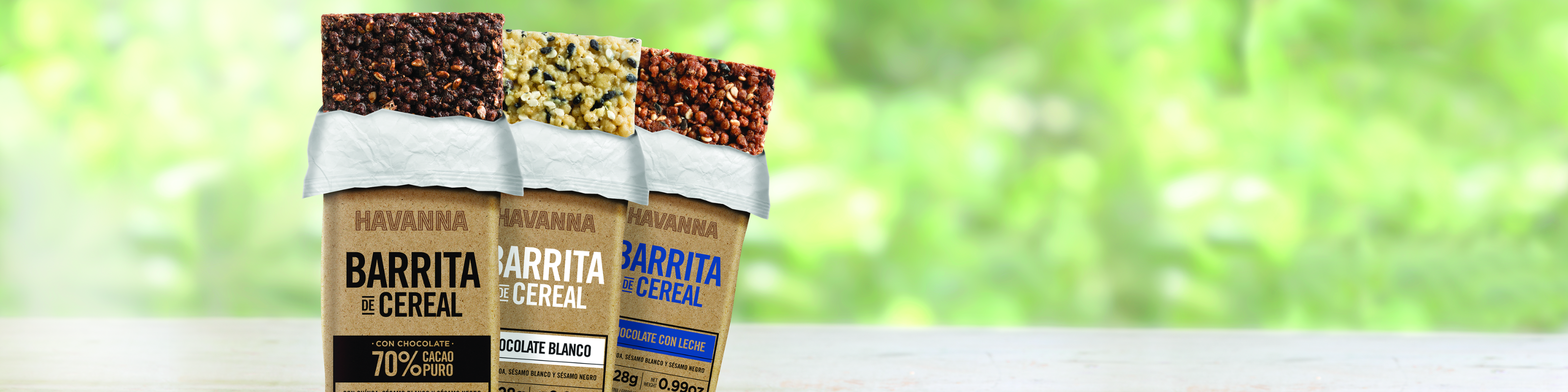 Barritas